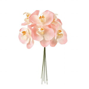 yz MAGIQ  ԍ veBt@msbN sN A[eBtBVt[ Ӓ t@m FM000757-002 yi A[gt[  A tFCNt[z