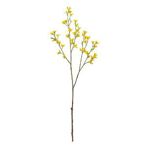 yz MAGIQ  ԍ ME CG[ A[eBtBVt[  FM002186 yi A[gt[z