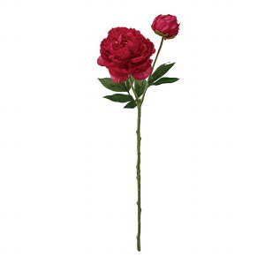 yz MAGIQ  ԍ v^sIj[ bh A[eBtBVt[ sIj[ O FM001774-003 yi A[gt[z