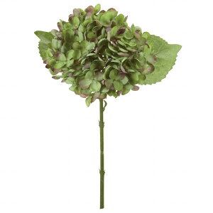 yz MAGIQ  ԍ onChWA O[ A[eBtBVt[  FM006059-024 yi A[gt[z