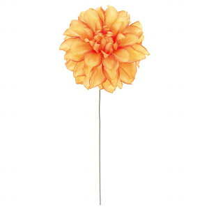 yz MAGIQ  ԍ |e_A sbN IW A[eBtBVt[ FM006955-009 _A yi A[gt[z