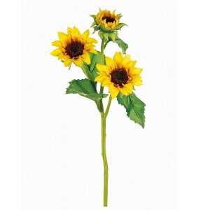 yz MAGIQ  ԍ lTt[ CG[ A[eBtBVt[ Ђ܂ FM008215 yi A[gt[z