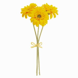 yz MAGIQ  ԍ \CK[xoh S[hCG[ A[eBtBVt[ FM002832-021 K[x yi A[gt[z