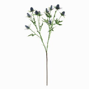 yz MAGIQ  ԍ u[GWE _[Nu[ A[eBtBVt[ FM002936-010 GWE AU~ yi A[gt[z