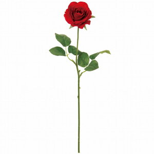 yz MAGIQ  ԍ teBA [Y bh A[eBtBVt[ FM002787-003 o yi A[gt[z