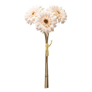 yz MAGIQ  ԍ Vr[K[xoh N[^x[W A[eBtBVt[ K[x FM002833-013 yi A[gt[z