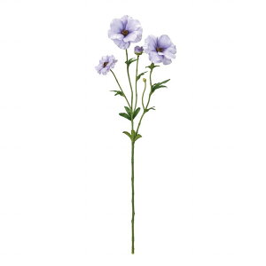 yz MAGIQ  ԍ NXiLX OCbVx_[ A[eBtBVt[ iLX FM004119-011 yi A[gt[z