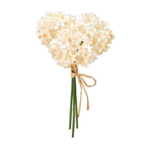 yz MAGIQ  ԍ JXm[{[sbN N[^s[` A[eBtBVt[ Xm[{[ ro[i FM003711-006 yi A[gt[z