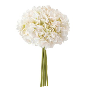 yz MAGIQ  ԍ nChWAoh x[W^N[ A[eBtBVt[  nChWA FM005123-037 yi A[gt[z