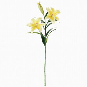 yz MAGIQ  ԍ vC}cC JTuJ CG[ A[eBtBVt[ FM004122-004  yi A[gt[z