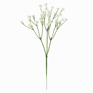 yz MAGIQ  ԍ ݑ sbN zCg A[eBtBVt[ FM003763-001 1 ݑ yi A[gt[z