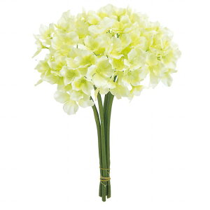 yz MAGIQ  ԍ TnChWA N[O[ A[eBtBVt[ FM004182-001 yi A[gt[z