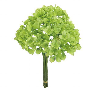 yz MAGIQ  ԍ TnChWA CgO[ A[eBtBVt[ FM004182-023 yi A[gt[z