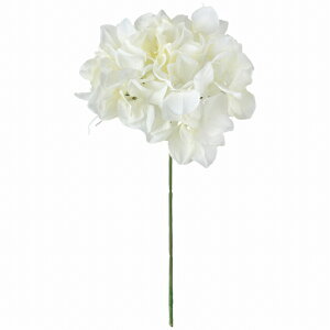 yz MAGIQ  ԍ AXnChWA N[zCg A[eBtBVt[  FM025048-001 yi A[gt[z