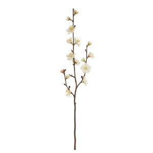 yz MAGIQ  ԍ ~ N[ A[eBtBVt[  ~ FJ007088-001 yA[gt[ ԍ ԍށz