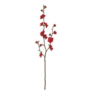 yz MAGIQ  ԍ ~ bh A[eBtBVt[  ~ FJ007088-003 yA[gt[ ԍ ԍށz