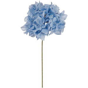 yz MAGIQ  ԍ AXnChWA XJCu[ A[eBtBVt[  FM025048-055 yi A[gt[z