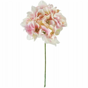 yz MAGIQ  ԍ AXnChWA CgsN A[eBtBVt[  FM025048-002 yi A[gt[z