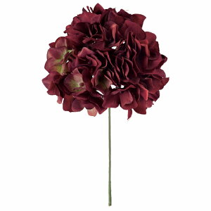 yz MAGIQ  ԍ AXnChWA C A[eBtBVt[  FM025048-014 yi A[gt[z