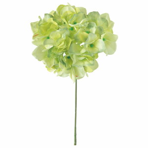 yz MAGIQ  ԍ AXnChWA CgO[ A[eBtBVt[  FM025048-023 yi A[gt[z