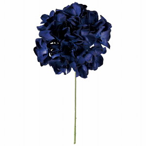 yz MAGIQ  ԍ AXnChWA _[Nu[ A[eBtBVt[  FM025048-033 yi A[gt[z