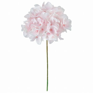 yz MAGIQ  ԍ AXnChWA zCgsN A[eBtBVt[  MAGIQ FM025048-102 yi A[gt[z