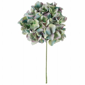 yz MAGIQ  ԍ A[xgnChWA ANAO[ A[eBtBVt[  FM025049-010 yi A[gt[z