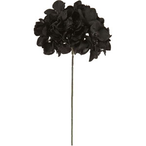 yz MAGIQ  ԍ AXnChWA ubN A[eBtBVt[  FM025048-020 yi A[gt[z