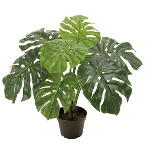 y z  Xe|bg ϗtA tFCNO[ A[eBtBVt[  FZ005702 yA[gt[ CeA rOz