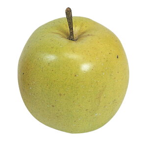 y zh`FAbv O[ tFCNt[h  A[eBtBV FV000943-024 y fBXvC CeAz