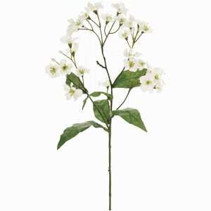 yz MAGIQ  ԍ vubT zCg A[eBtBVt[ FM009458-001  yi A[gt[z