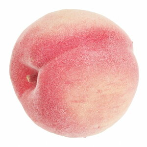 y zs[` tFCNt[h  A[eBtBV FV001340 yA[gt[ tFCN t[cz