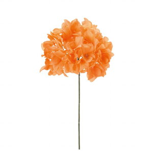 yz MAGIQ  ԍ AXnChWA s[`IW A[eBtBVt[  FM025048-006 yi A[gt[z