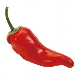 y z`ybp[ bh 3R tFCNt[h A[eBtBV  FV002224-003 yA[gt[z