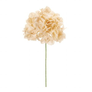 yz MAGIQ  ԍ AXnChWA x[W A[eBtBVt[ FM025048-013  yi A[gt[z