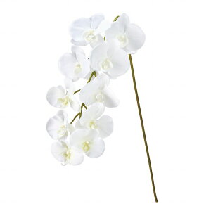 yz MAGIQ  ԍ CmZgt@m zCg A[eBtBVt[ Ӓ t@m FM302211 ReCO TXeiu yi A[gt[z