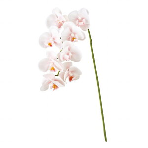 yz MAGIQ  ԍ ~jkt@m zCg^sN A[eBtBVt[ I[Lbh  FM008806-102 yi A[gt[z