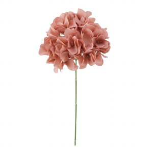 yz MAGIQ  ԍ AXnChWA RRA^[u A[eBtBVt[  nChWA FM025048-018 yi A[gt[z