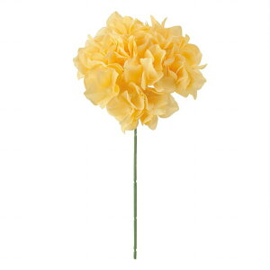 yz MAGIQ  ԍ AXnChWA nj[CG[ A[eBtBVt[  nChWA FM025048-104 yi A[gt[z