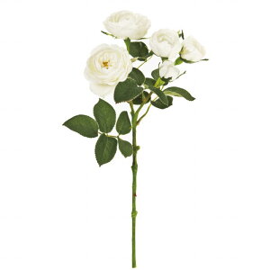 yz MAGIQ  ԍ _[Y sAzCg A[eBtBVt[ o FM009087-101 yi A[gt[z