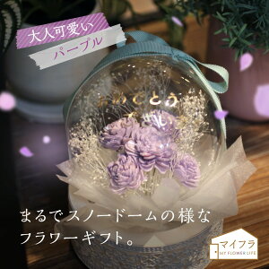 y z}CtIWi o[t[ ԍ炭o[Xm[h[ p[v MtgAWg \t[ ML009008-017 y󒍕izy a v[g  