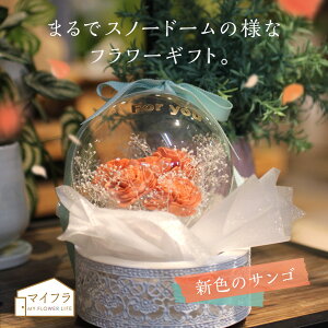 y z}CtIWi o[t[ ԍ炭o[Xm[h[ TS MtgAWg \t[ ML009008-328 y󒍕izy  a v[g  