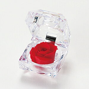 y zvU[uht[ WG[[Y bh AWg DM000JR1-200 6R oy a v[g  e  j ސEj ʉ  ͂Ȃ  