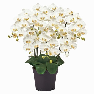 y z A[eBtBVt[()AWg Ӓ sAI[Lbh 7{ N[zCg G}H ZV006200-001 yA[gt[ JXj JƏj 