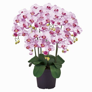 �y������ �����z�������� �A�[�e�B�t�B�V�����t�����[(����)�A�����W�����g �Ӓ��� �s���A�I�[�L�b�h 7�{�� ���x���_�[ ���G�}���H ZV006200-050 �y�A�[�g�t�����[ �J�X�j�� �J�Əj�� ���j�� �t