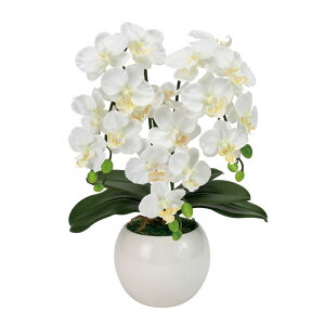 【東京堂 公式】東京堂オリジナル アーティフィシャルフラワー(造花)アレンジメント 胡蝶蘭 ピュアオーキッド 3本立て(ファレノミリー) ホワイト 光触媒加工 フラワーギフト ZV008070-001 【