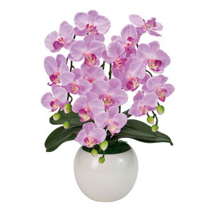 【東京堂 公式】東京堂オリジナル アーティフィシャルフラワー(造花)アレンジメント 胡蝶蘭 ピュアオーキッド 3本立て(ファレノミリー) ライラック 光触媒加工 フラワーギフト ZV008070-050