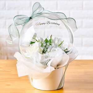 y z}CtIWi o[t[ LTCY [Y zCg MtgAWg A[eBtBVt[  ML009007-001y󒍕izyj Mtg ͂Ȃ 