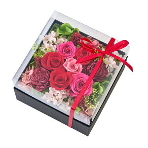 yzvU[uht[ {bNXt[ IWi tBI bh ZY006334-003y͂Ȃ  킢  a v[g  FB uU[ht[ ̓