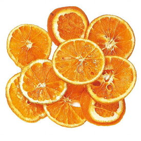 【東京堂 公式】オレンジスライス ナチュラルオレンジ ドライフラワー DE018300 【ドライフラワー 花材】